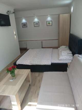 Гостевой дом Apartments & Rooms Bojic Колашин Номер-студио с кроватью размера "king-size"-2