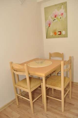 Гостевой дом Apartments & Rooms Bojic Колашин Номер-студио с кроватью размера "king-size"-13
