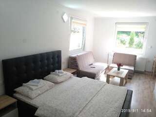 Гостевой дом Apartments & Rooms Bojic Колашин Номер-студио с кроватью размера "king-size"-4