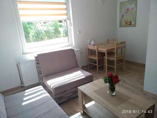 Гостевой дом Apartments & Rooms Bojic Колашин Номер-студио с кроватью размера "king-size"-6